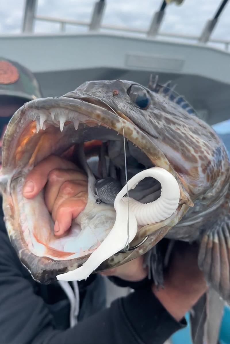 Man holding large fish by the mouth.