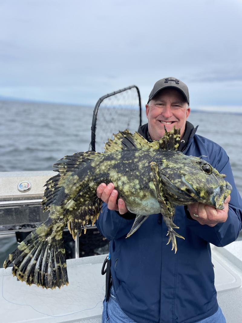 A man on a boat holding a large, dark lingcod with both hands.