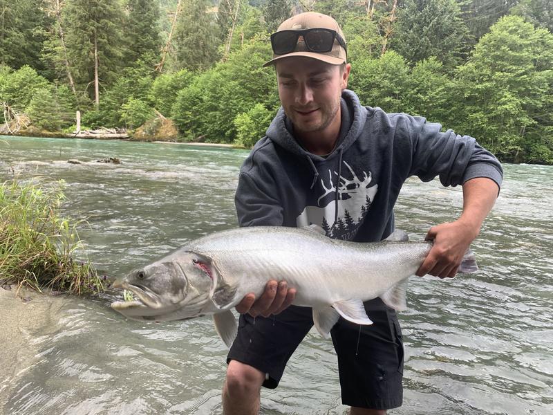 A man in a grey hoodie holding a large salmon in a river.
